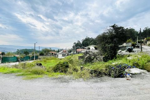 Terra a Oliveira, Braga, Oliveira - € 85.000 | Ref: ZMPT572153 - foto 6