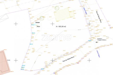 Terra a Oliveira, Braga, Oliveira - € 85.000 | Ref: ZMPT572153 - foto 9