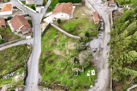 Terra a Oliveira, Braga, Oliveira - € 85.000 | Ref: ZMPT572153 - foto 10