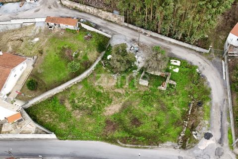 Terra a Oliveira, Braga, Oliveira - € 85.000 | Ref: ZMPT572153 - foto 12