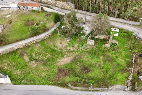 Terra a Oliveira, Braga, Oliveira - € 85.000 | Ref: ZMPT572153 - foto 13