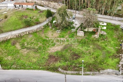 Terra a Oliveira, Braga, Oliveira - € 85.000 | Ref: ZMPT572153 - foto 14
