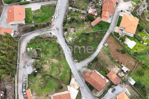 Terra a Oliveira, Braga, Oliveira - € 85.000 | Ref: ZMPT572153 - foto 15