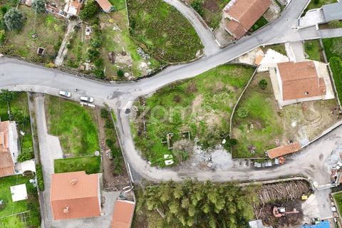 Terra a Oliveira, Braga, Oliveira - € 85.000 | Ref: ZMPT572153 - foto 17