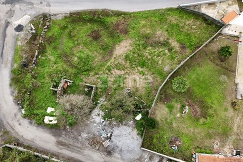 Terra a Oliveira, Braga, Oliveira - € 85.000 | Ref: ZMPT572153 - foto 18