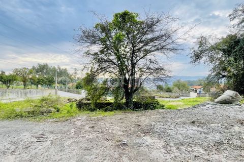 Terra a Oliveira, Braga, Oliveira - € 85.000 | Ref: ZMPT572153 - foto 8