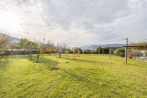 Villa i Viana do Castelo, Viana do Castelo, Viana do Castelo - € 460.000 | Ref: ZMPT581991 - foto 38