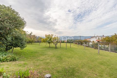 Villa i Viana do Castelo, Viana do Castelo, Viana do Castelo - € 460.000 | Ref: ZMPT581991 - foto 39