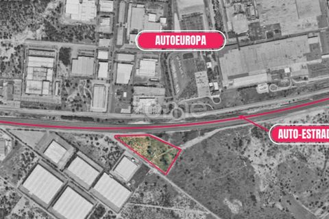 Helårsgrund i Quinta do Anjo, Setubal, Quinta do Anjo - € 3.500.000 | Ref: ZMPT582124 - foto 2