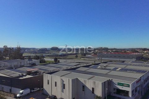 Bungalow i Vila do Conde, Porto, Vila do Conde - € 1.035.000 | Ref: ZMPT581946 - foto 4