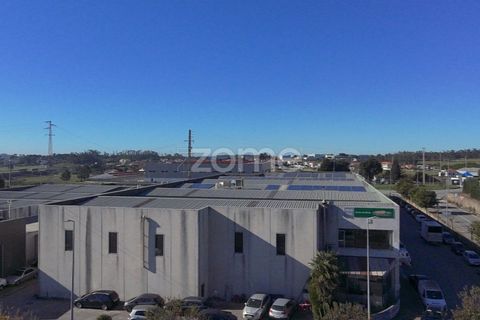 Bungalow i Vila do Conde, Porto, Vila do Conde - € 1.035.000 | Ref: ZMPT581946 - foto 7