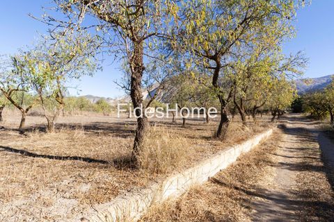 Helårsgrund i Niguelas, Granada, Niguelas - € 45.000 | Ref: 109696584 - foto 3