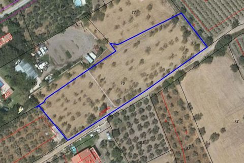 Helårsgrund i Niguelas, Granada, Niguelas - € 45.000 | Ref: 109696584 - foto 4