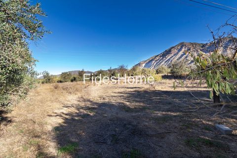 Terra a Acequias, Granada, Acequias - € 150.000 | Ref: 109696800 - foto 6