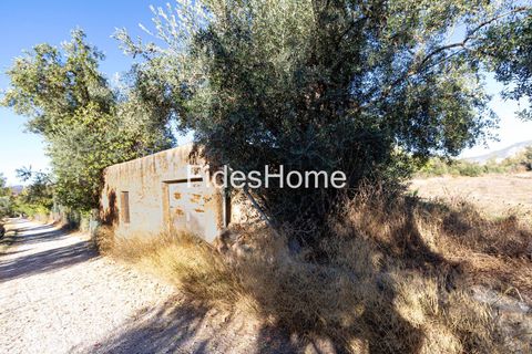 Terra a Acequias, Granada, Acequias - € 150.000 | Ref: 109696800 - foto 8