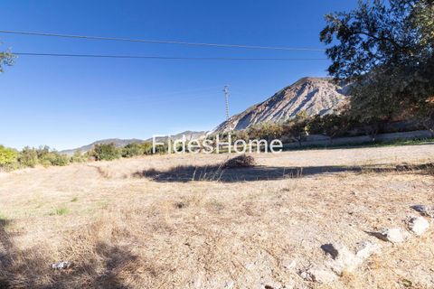 Terra a Acequias, Granada, Acequias - € 150.000 | Ref: 109696800 - foto 9