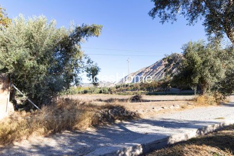Terra a Acequias, Granada, Acequias - € 150.000 | Ref: 109696800 - foto 11