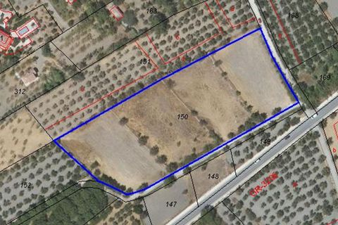 Terra a Acequias, Granada, Acequias - € 150.000 | Ref: 109696800 - foto 14