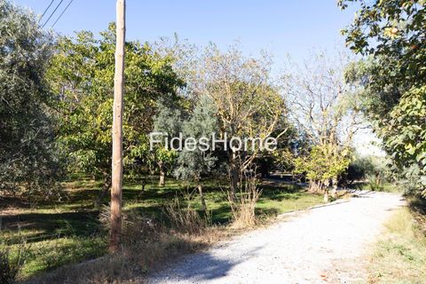 Terra a Acequias, Granada, Acequias - € 65.000 | Ref: 109697267 - foto 2