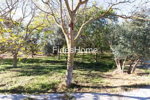 Terra a Acequias, Granada, Acequias - € 65.000 | Ref: 109697267 - foto 3
