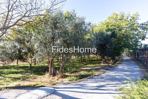 Terra a Acequias, Granada, Acequias - € 65.000 | Ref: 109697267 - foto 4