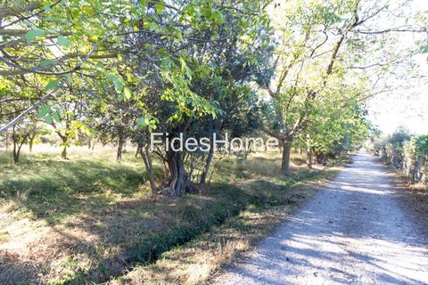 Terra a Acequias, Granada, Acequias - € 65.000 | Ref: 109697267 - foto 5
