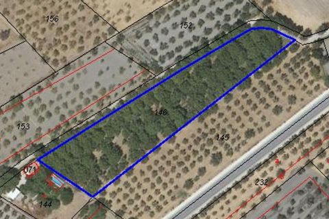 Terra a Acequias, Granada, Acequias - € 65.000 | Ref: 109697267 - foto 6
