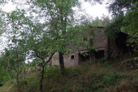 Landejendom i Londa, Florence, Londa - € 210.000 | Ref: a6273rc1350076a - foto 8