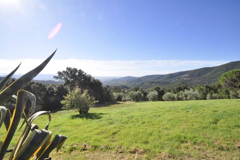 Farm hus i Suvereto, Livorno, Suvereto - € 330.000 | Ref: a6756ta2512290a - foto 27
