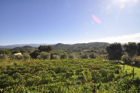 Farm hus i Suvereto, Livorno, Suvereto - € 330.000 | Ref: a6756ta2512290a - foto 30