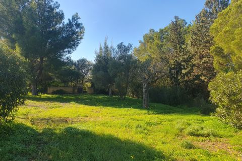 Masia a Binissalem, Mallorca, Binissalem - € 690.000 | Ref: 82437 - foto 28