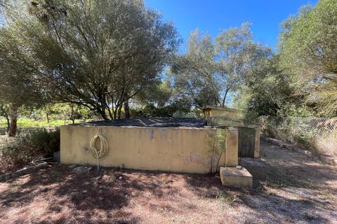 Masia a Binissalem, Mallorca, Binissalem - € 690.000 | Ref: 82437 - foto 30
