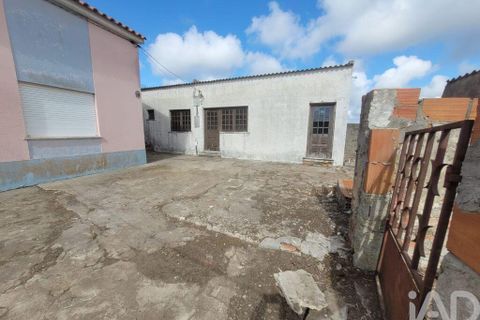 Byhus i Peniche, Leiria, Peniche - € 245.000 | Ref: 122004 - foto 21
