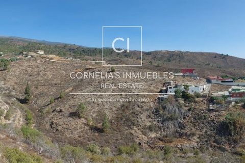 Finca i Los Blanquitos, Tenerife, Los Blanquitos - € 130.000 | Ref: 1055 - foto 9