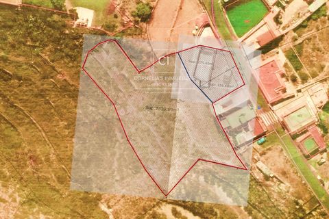 Finca i Los Blanquitos, Tenerife, Los Blanquitos - € 130.000 | Ref: 1055 - foto 10