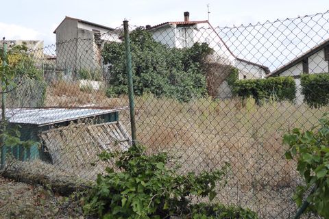 Terra a Sarasa, Navarra, Sarasa - € 75.000 | Ref: EXP11811/8930 - foto 11