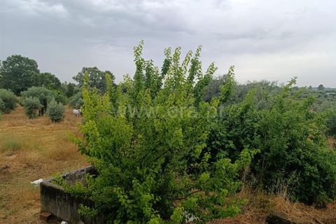 Farm i Fundao, Castelo Branco, Fundao - € 152.500 | Ref: 255250193 - foto 2