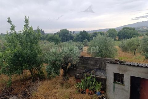Farm i Fundao, Castelo Branco, Fundao - € 152.500 | Ref: 255250193 - foto 3