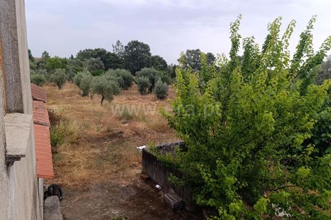 Farm i Fundao, Castelo Branco, Fundao - € 152.500 | Ref: 255250193 - foto 4