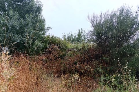 Farm i Fundao, Castelo Branco, Fundao - € 152.500 | Ref: 255250193 - foto 5