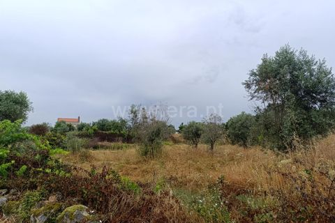 Farm i Fundao, Castelo Branco, Fundao - € 152.500 | Ref: 255250193 - foto 6