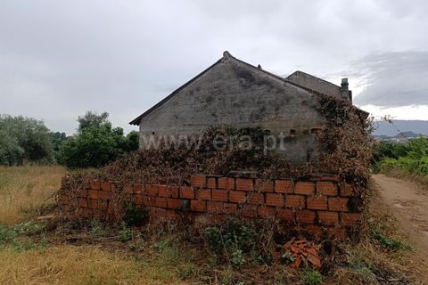 Farm i Fundao, Castelo Branco, Fundao - € 152.500 | Ref: 255250193 - foto 7