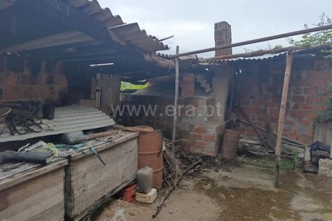 Farm i Fundao, Castelo Branco, Fundao - € 152.500 | Ref: 255250193 - foto 11
