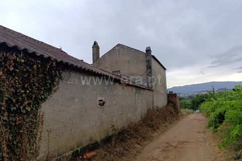 Farm i Fundao, Castelo Branco, Fundao - € 152.500 | Ref: 255250193 - foto 21