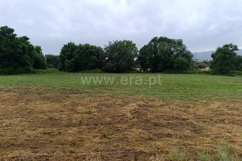 Farm i Fundao, Castelo Branco, Fundao - € 152.500 | Ref: 255250193 - foto 22