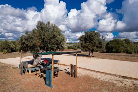 Helårsgrund i Albufeira, Faro, Albufeira - € 143.000 | Ref: JF-404 - foto 15