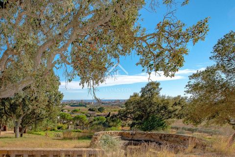 Landejendom i Sant Antoni De Calonge, Gerona, Sant Antoni De Calonge - € 990.000 | Ref: PDA64196 - foto 7