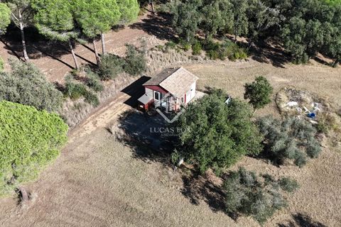 Landejendom i Sant Antoni De Calonge, Gerona, Sant Antoni De Calonge - € 990.000 | Ref: PDA64196 - foto 48