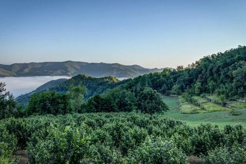 Villa a Cortemilia, Cuneo, Cortemilia - € 395.000 | Ref: CML031 - foto 20