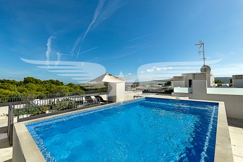 Lejlighed i Santa Ponsa, Mallorca, Santa Ponsa - € 2.390.000 | Ref: 4147 - foto 16